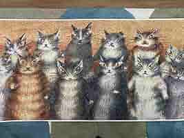 新品　五彩織　バスタオル　猫会議　フルカラー　限定品　わちふぃーるど　ダヤン　猫 Amazon.co.jp: わちふぃーるど ダヤン EV五彩織バスタオル 猫