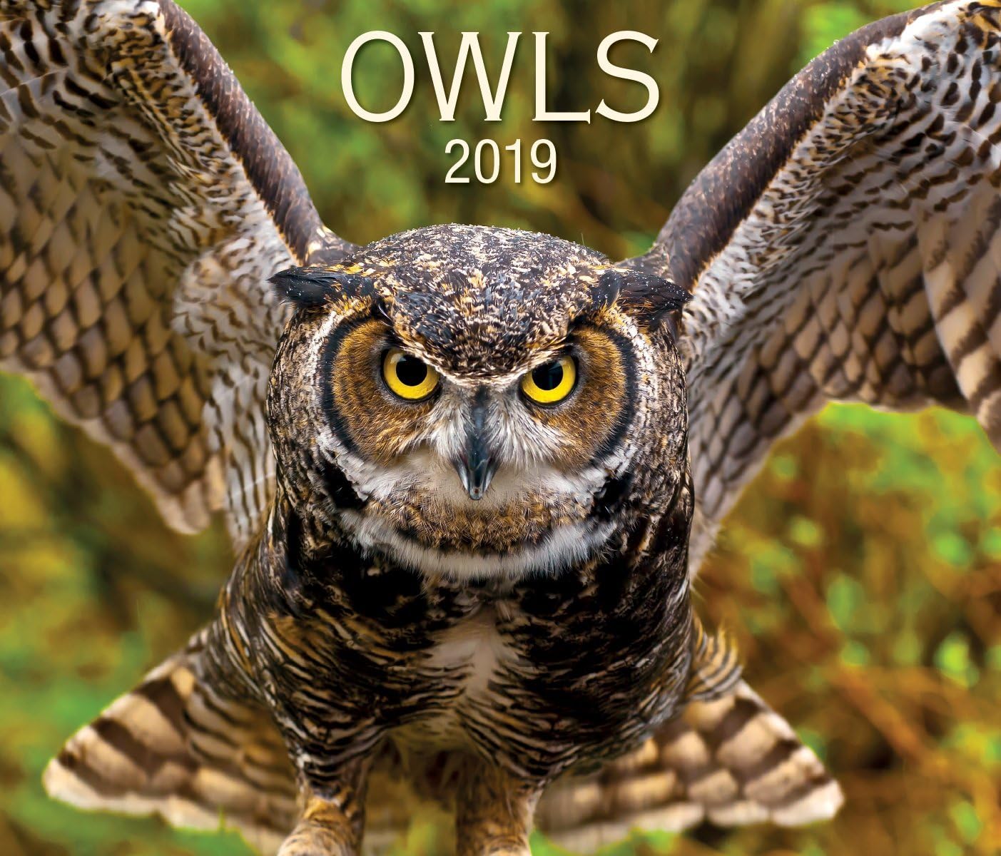 Owls 2019 Calendar