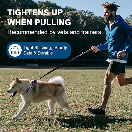 Miniatura 6 de Martingale - Collar para perro, collar reflectante de nailon ajustable con hebilla. Sin tirones para perros pequeños, medianos y grandes. Evita que