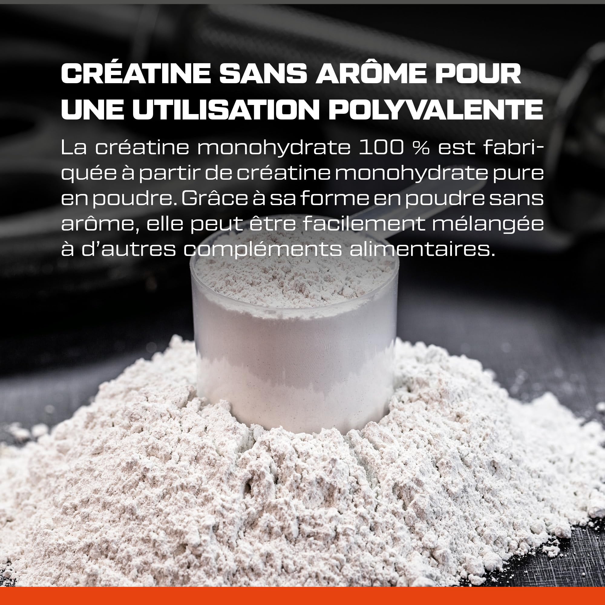 Scitec Nutrition 100% Creatine Monohydrate - Poudre de créatine pure | Créatine pour les performances lors d'efforts courts, intenses, répétés - 3 g par jour - Sans additifs - 500g, non aromatisé