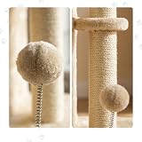 Ver la foto 8
