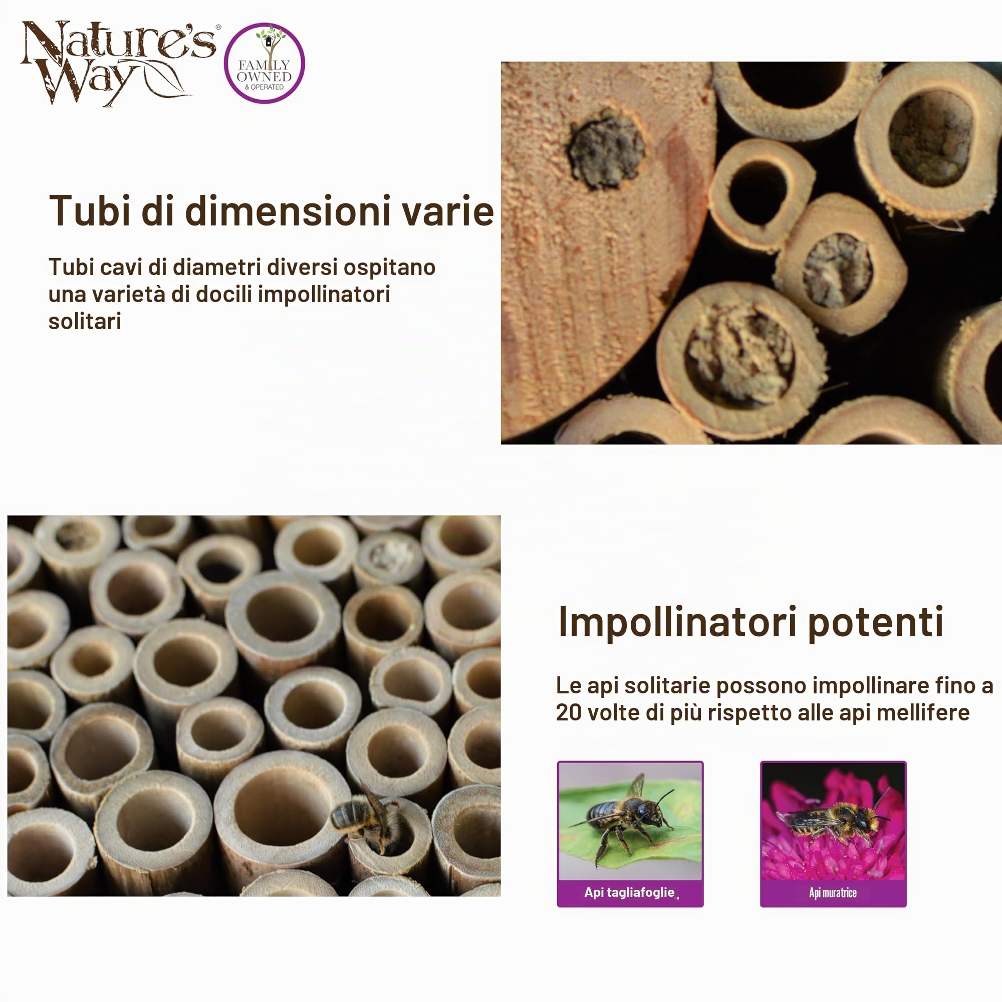 Nature's Way Bird Products PWH1-C Casetta per api