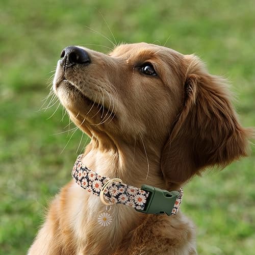 Miniatura 5 de Collar de perro con patrones de flores con accesorios, collares de algodón suave para perros pequeños, medianos y grandes, hembras y machos (M 12 a