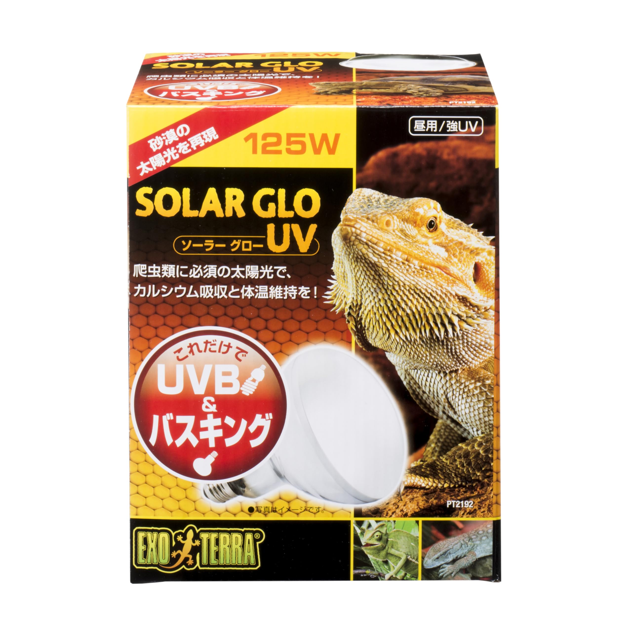 125Wソーラーグローライトドーム18cmセット　（箱は80ですが中身は125） Amazon | エキゾテラ GEX EXOTERRA ソーラーグローUV 125W PT2192 UVB&