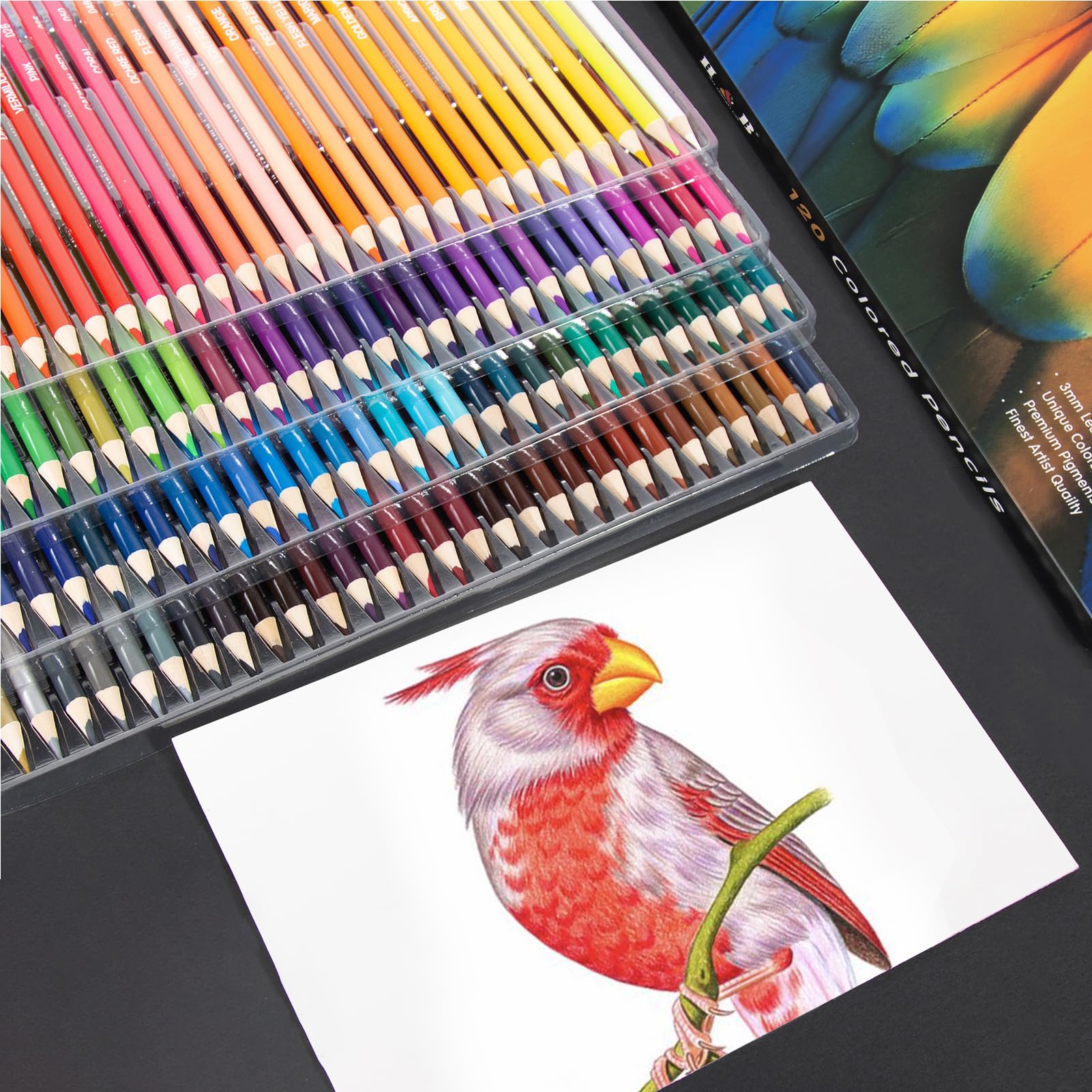 72 crayons de couleur pré-aiguisés, fournitures d'art pour croquis, gras avec étui de rangement (120 couleurs)