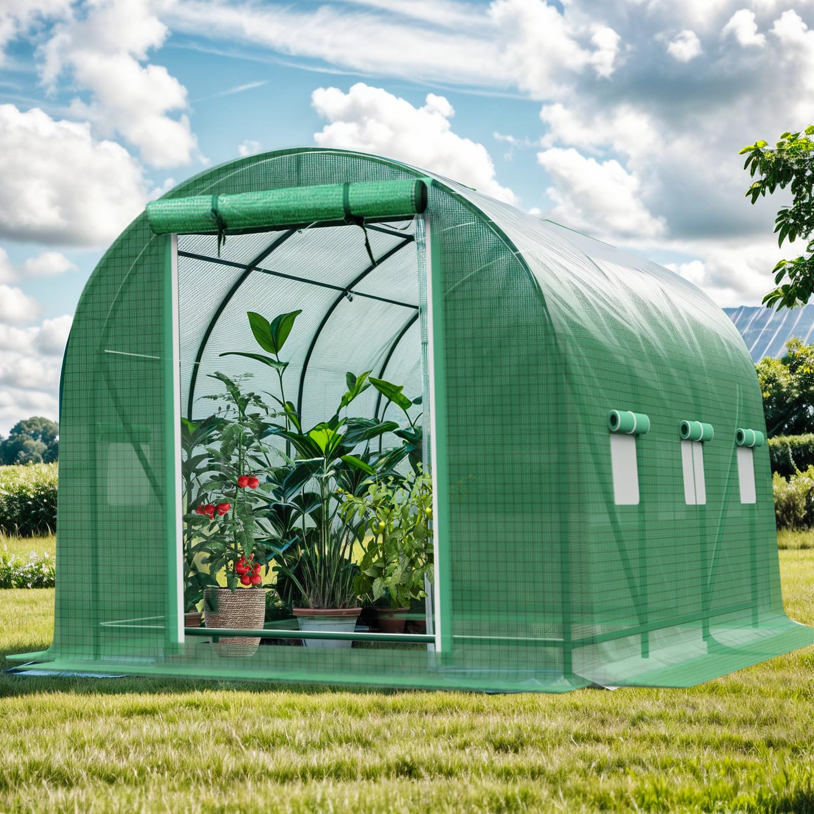 Amazon.com : Walk-in Tunnel Greenhouse，Portable Plant Hot