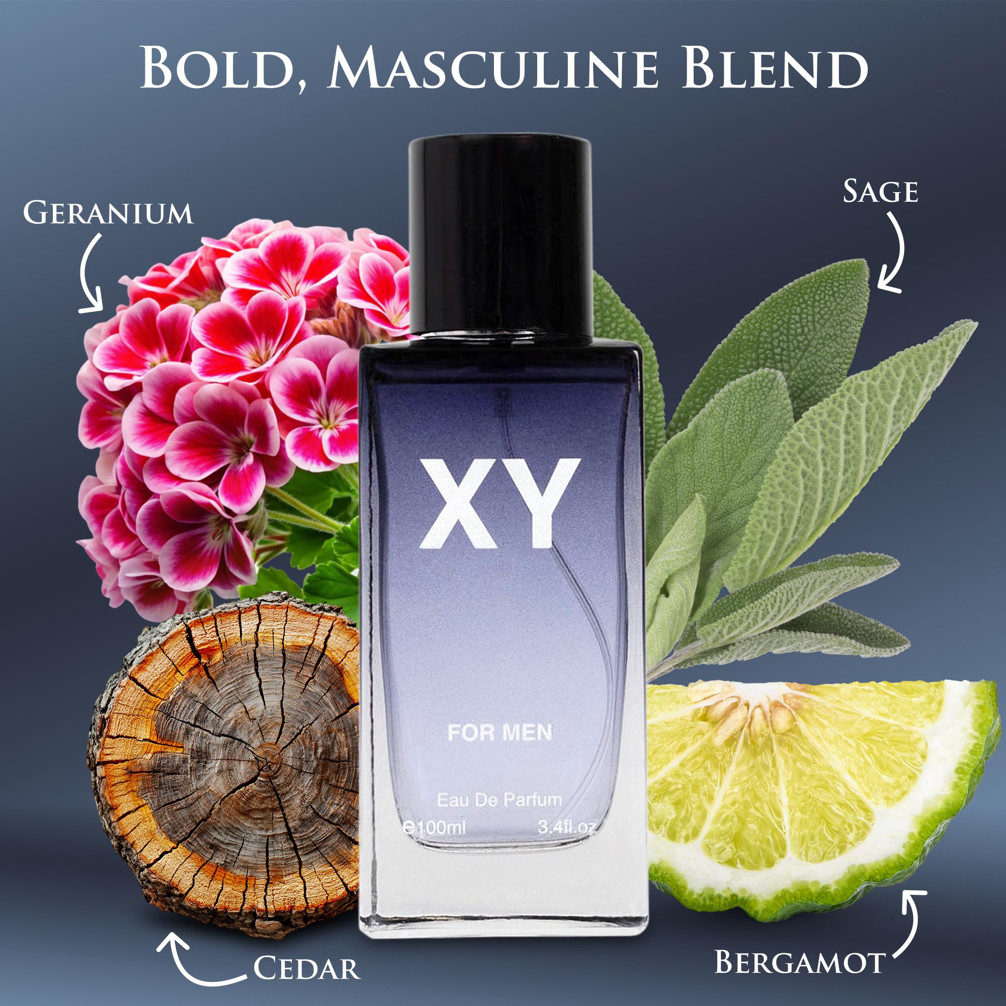 Amazon.com : XY for Men - Aromatic Fougere Fragrance - Top Notes