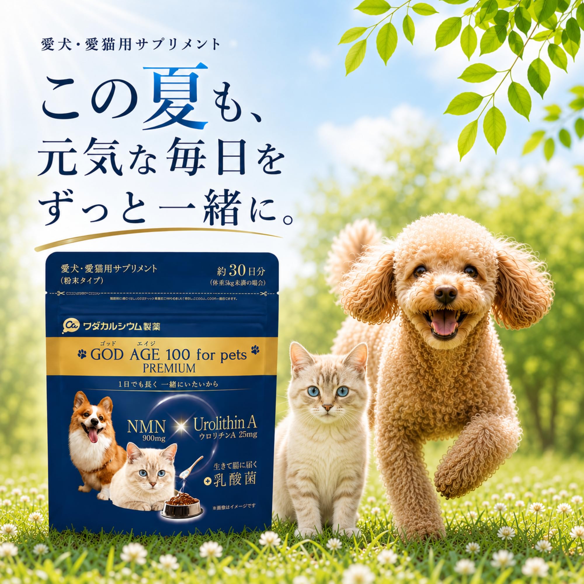 Amazon.co.jp: ゴッドエイジペット プレミアム 犬猫用 NMN サプリ