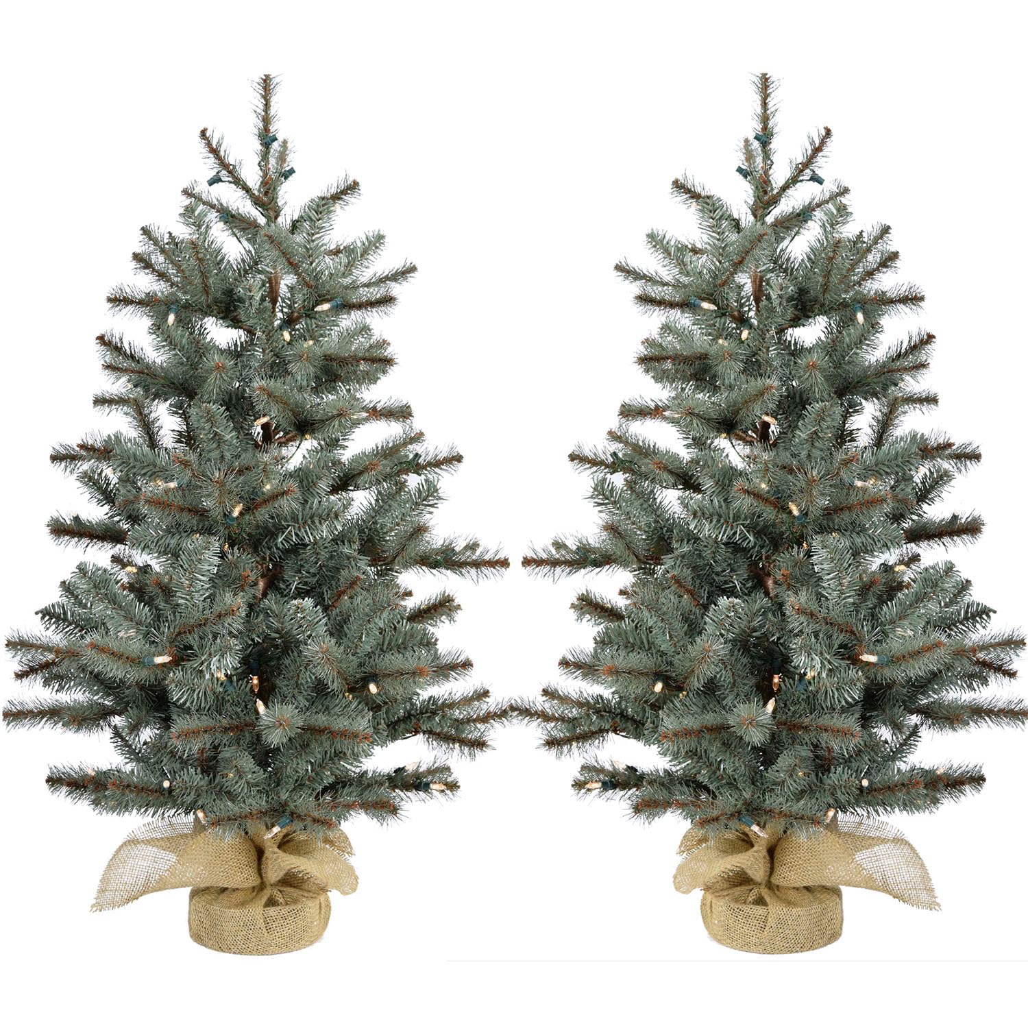 Fraser Hill Farm 2-Ft. Prelit Heritage Pine Accent Tree in Burlap Bag with Warm White LED Lights, Set of 2, Festive Small Christmas Trees Perfect for Foyer, Entryway, Hearth, or Covered Porch