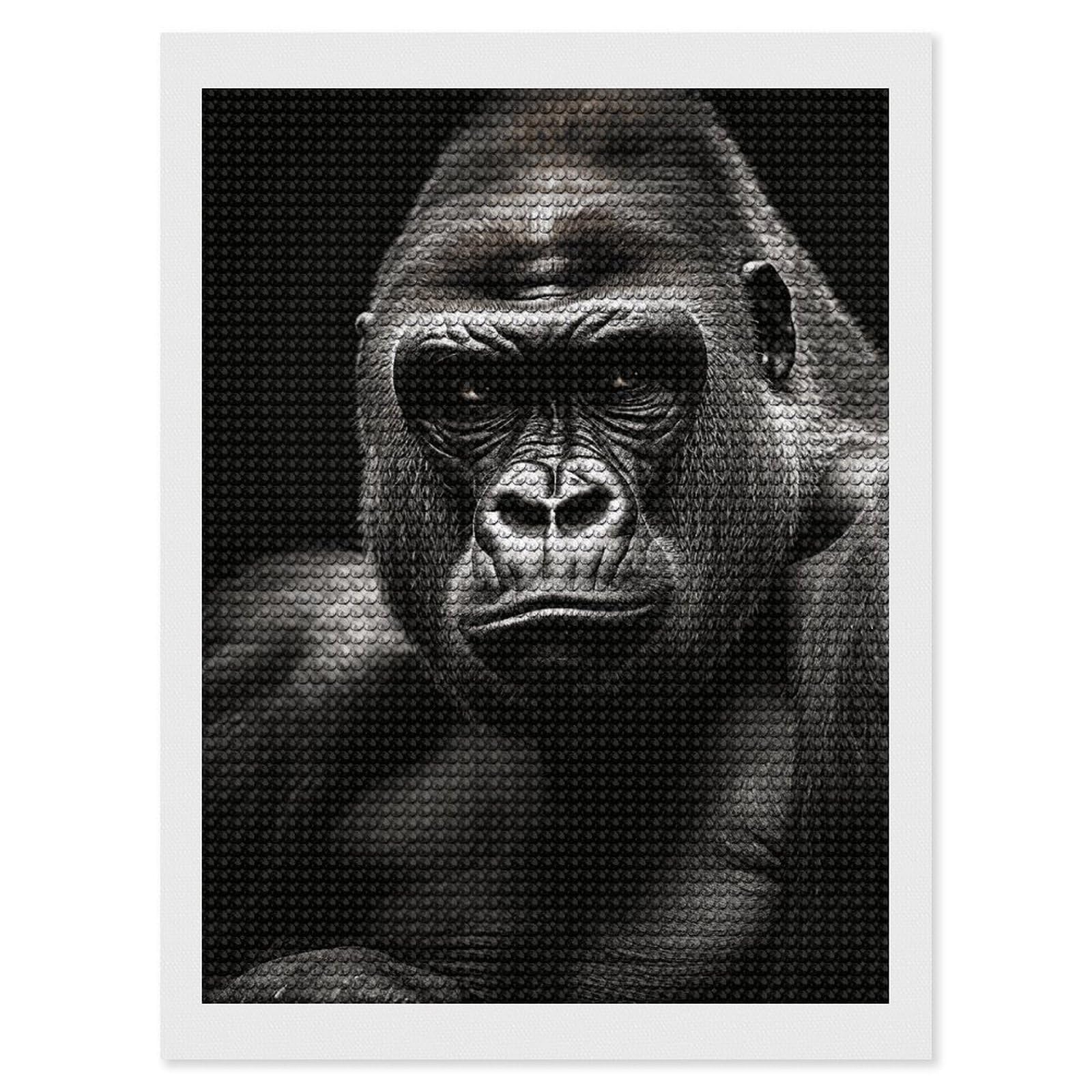 DWVTSLH Male Gorilla Diamond Painting Kits for Adults, Personalized Diamond Photo Art Full Drill, DIY 5D Diamond Art Painting Kits for Beginners, Home Wall Decor 12"x16"