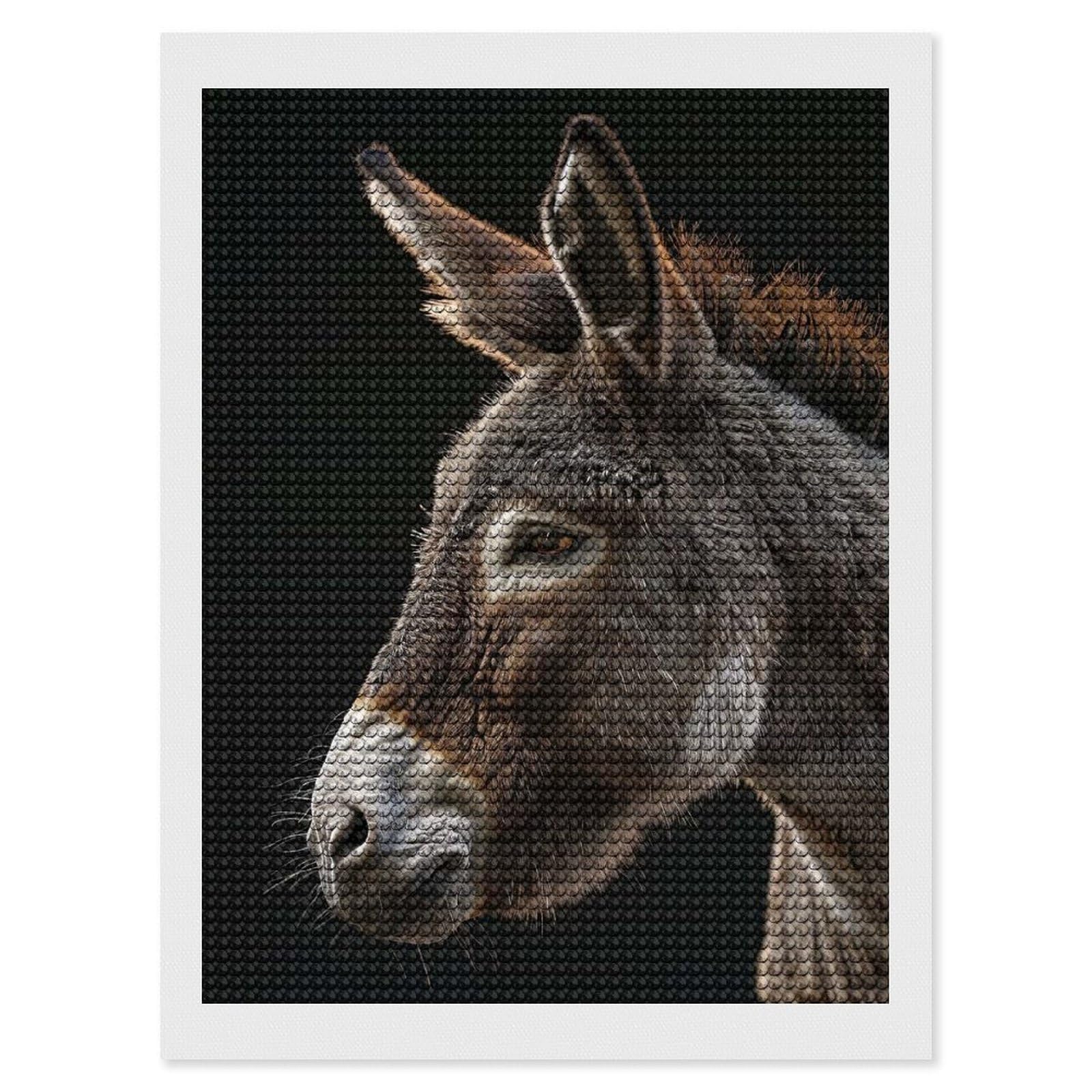 Junmoney Donkey DIY Diamond Art Canvas Kit 12"x16", Winter Craft, Mindful Craft Project, Aesthetic Room Decor, Decor Project