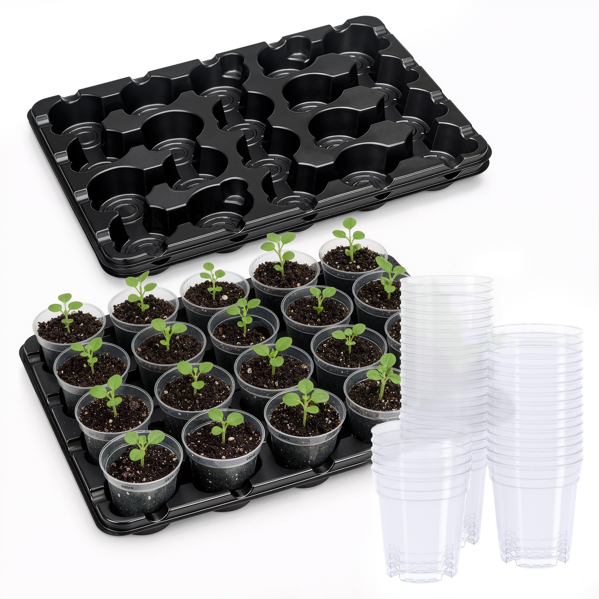 homenote 2 Pack 20 Cell Seed Starting Trays with 40 Clear 3 Inch Plant Pots