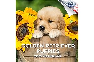 2024 Golden Retriever Calendar - Perfect Companion for Dog Lovers