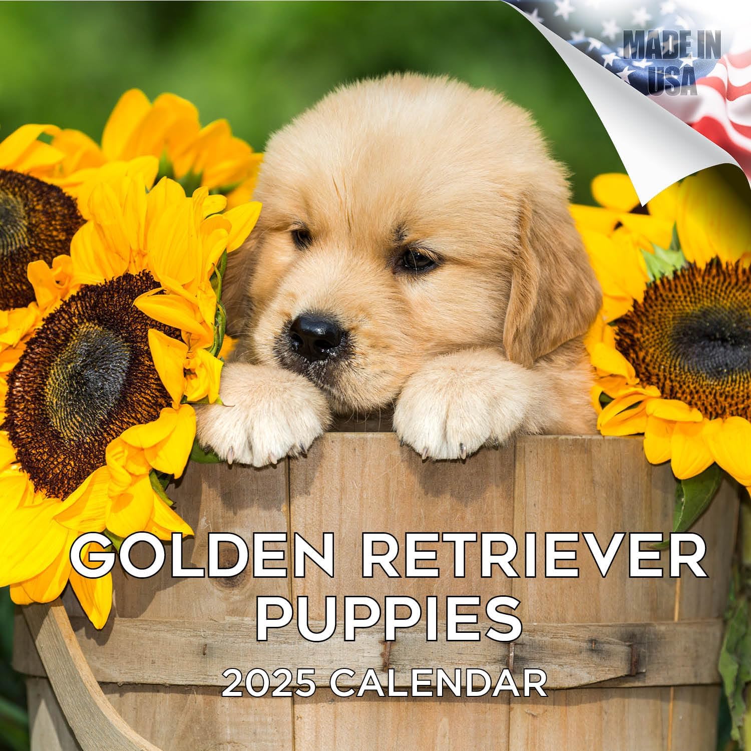 Golden Retriever Slim 2026 Calendar | Slimline Wall Calendar | Dog Breed Gift | Plastic Free Packaging | By Avonside Publishing : Avonside Publishing Ltd - View #10