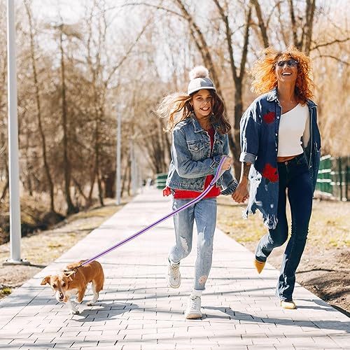 Miniatura 2 de Collar Martingala para perros, juego de collar y correa Martingala reflectante acolchado de neopreno suave con hebilla de seguridad, collar