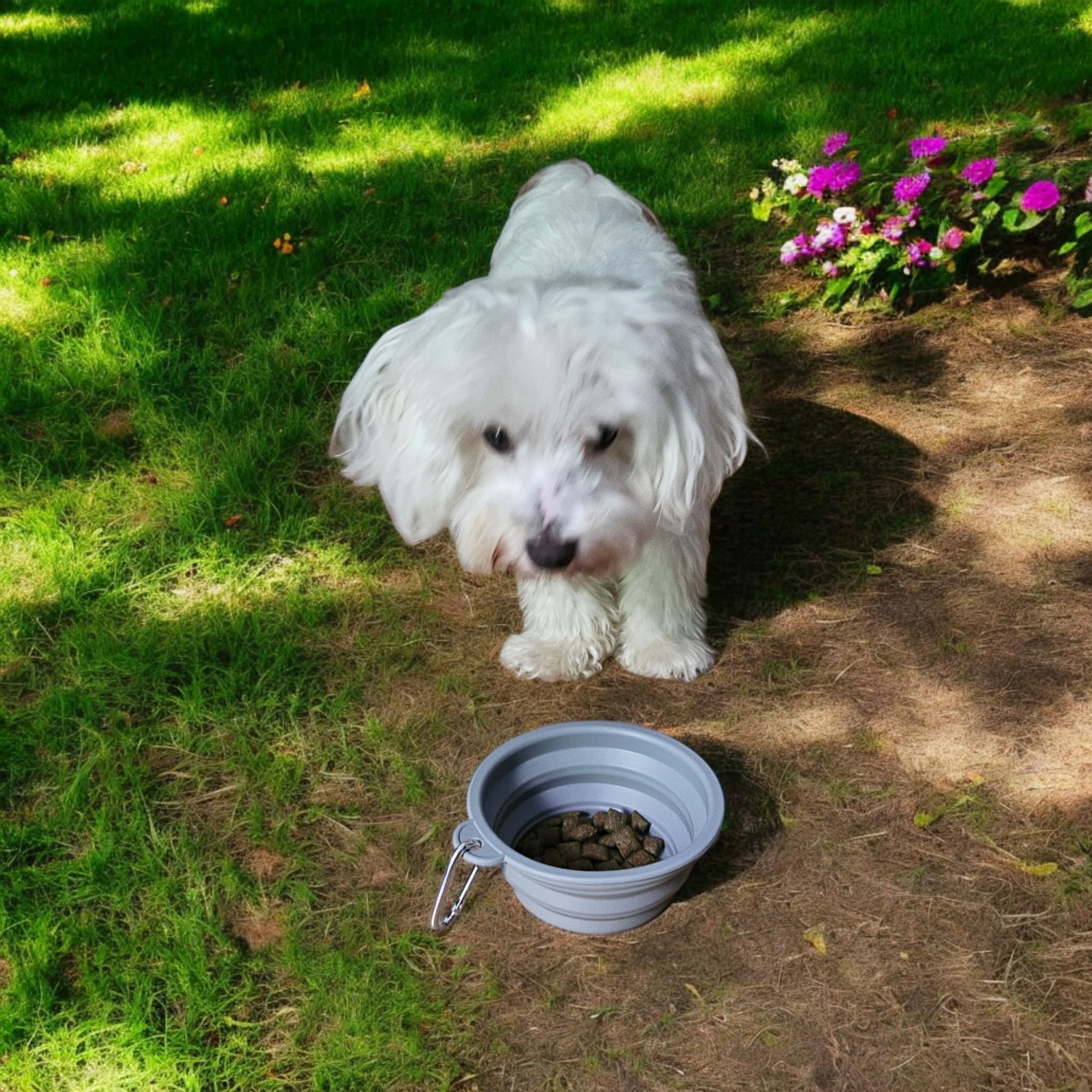 Silicone Collapsible Pet Bowl Set,Dog Cat Food Bowl with Waste Bag Dispenser,Portable Durable,Easy to Clean and Carry.