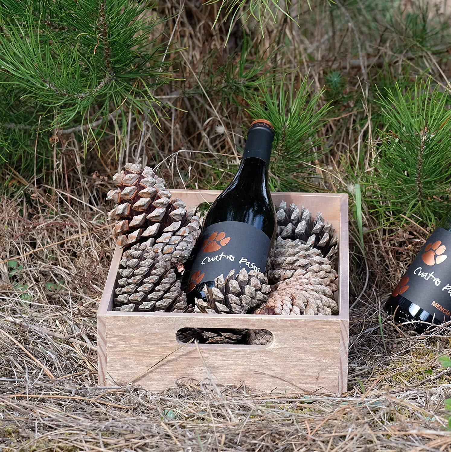 Cuatro Pasos Vino tinto mencía DO Bierzo 750 ml (Paquete de 6)