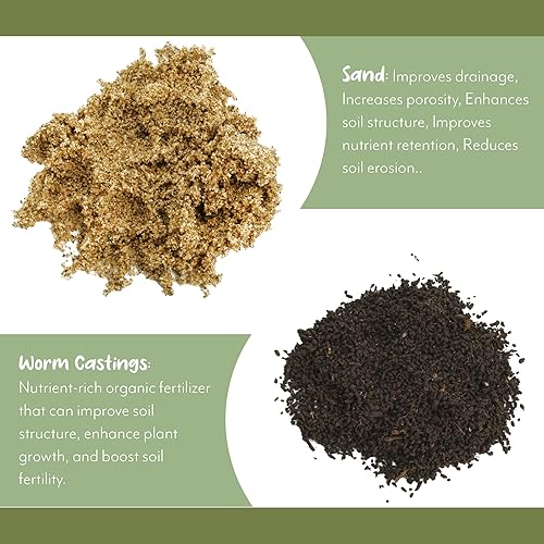 Miniatura 6 de Mezcla de tierra para macetas de plátano (12 cuartos de galón), mezcla mezclada a mano para plantas de plátano