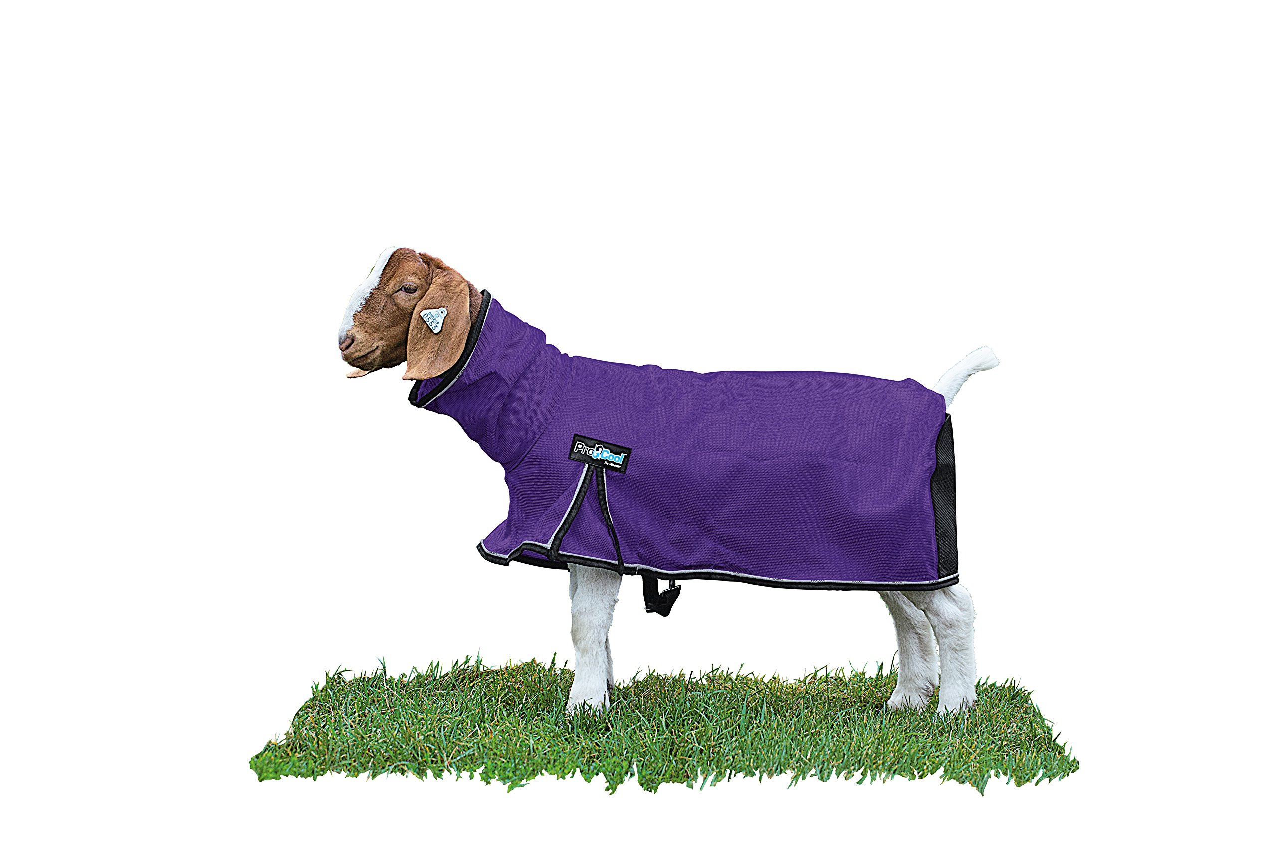 Weaver Livestock ProCool™ Goat Blanket