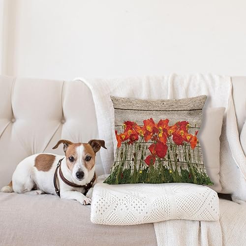 Miniatura 4 de Ambesonne Funda de cojín rústica, línea cercana de pétalos de amapola, campo, prado, verano, vacaciones, planta solar, tema floral, funda de