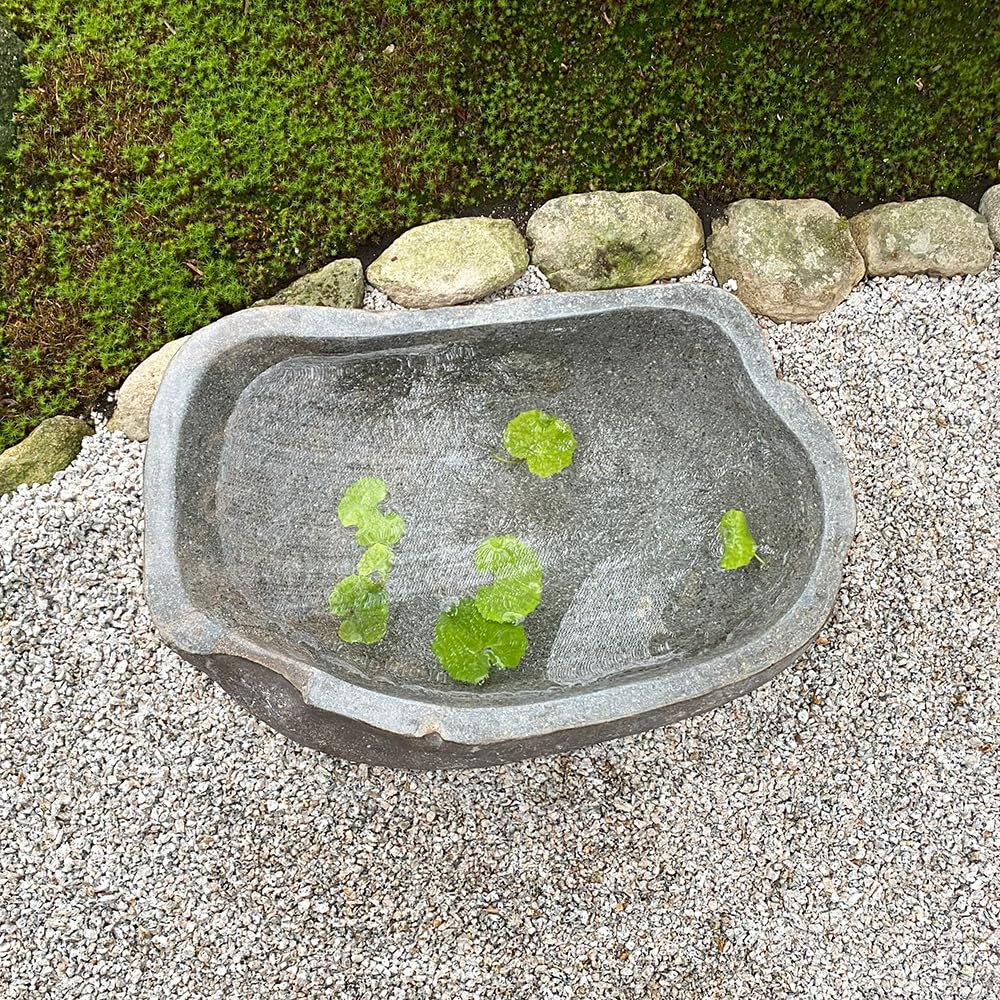 Amazon.co.jp: つくばい 手水鉢 石 睡蓮鉢 大型 おしゃれ 水鉢 メダカ