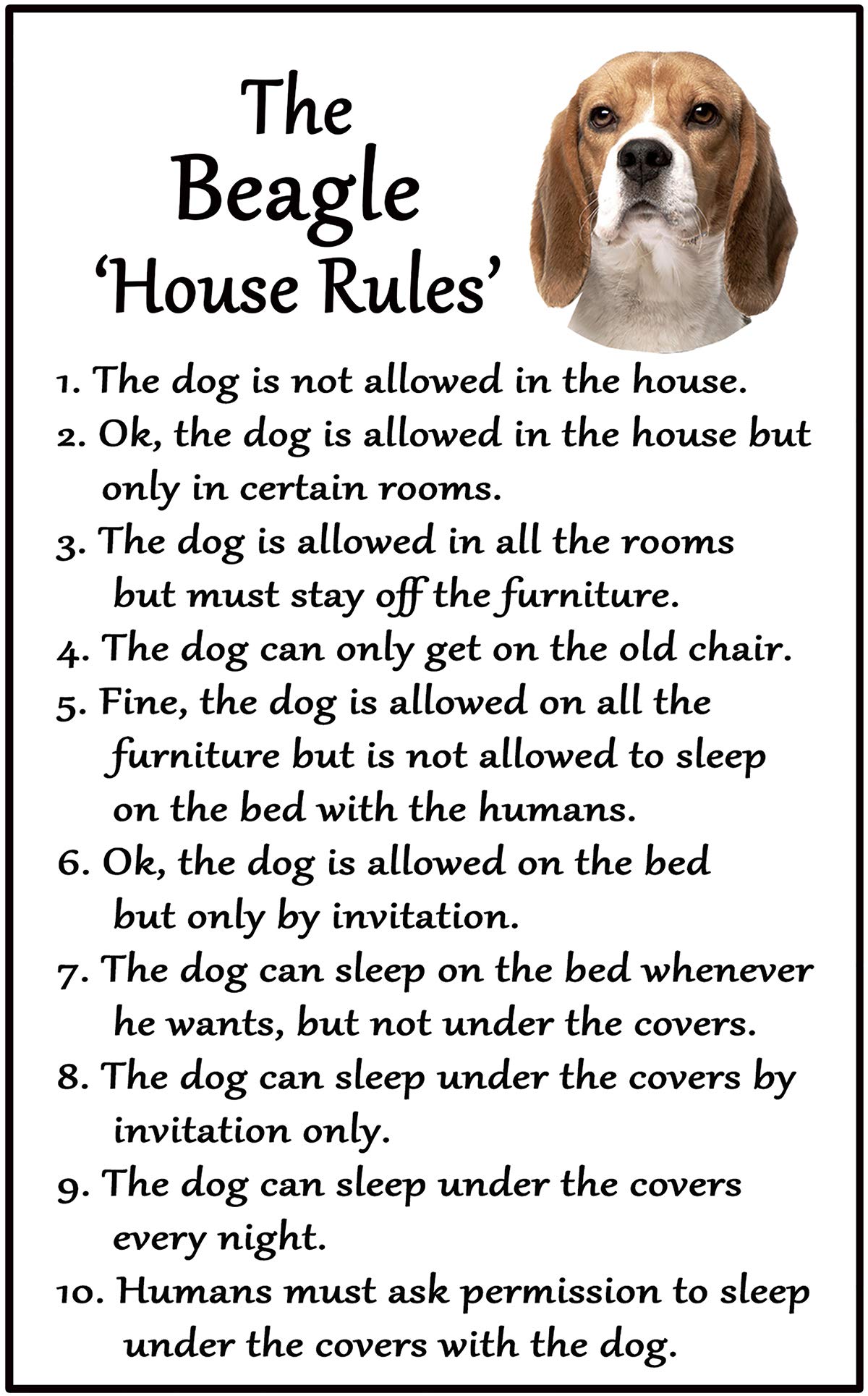 Fridge Magnets Beagle Gift - House Rules - Large Fun Flexible Size 16Cms X 10 Cms (Approx. 6" X4")