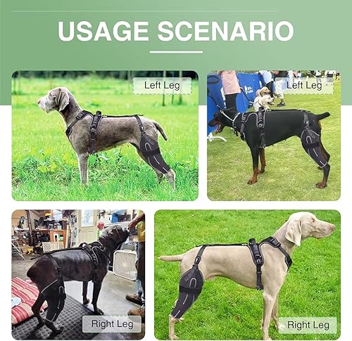 Miniatura 21 de Rodillera para perro para lesiones de ACL/CCL, ligamento desgarrado, rótula luxante, soporte de pierna trasera, alivio del dolor, calor