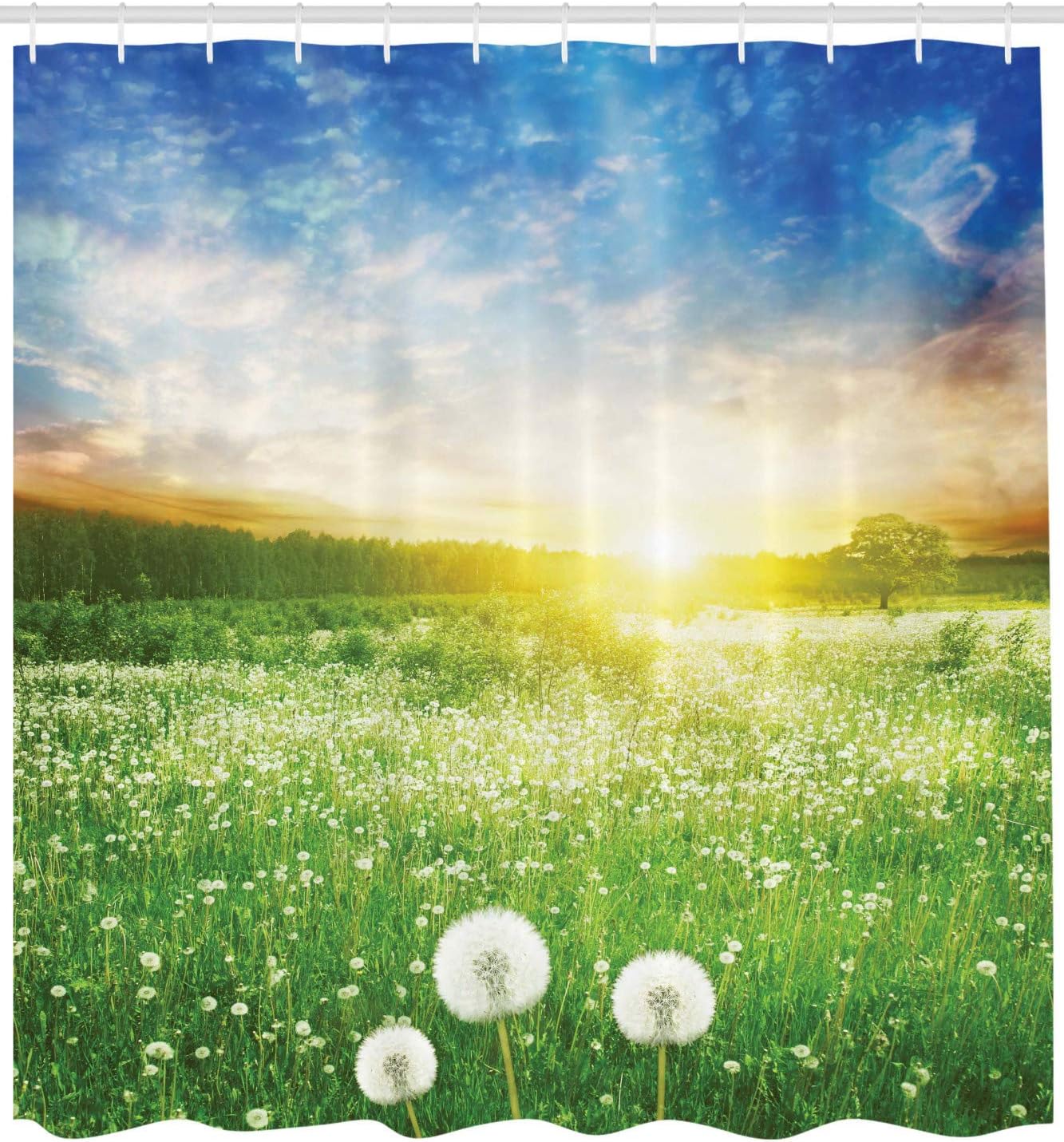 Ambesonne Spring Shower Curtain, Dandelion Flower Field Meadow Rural Grass Vivid Sunset Clouds Idyllic Image, Cloth Fabric Bathroom Decor Set with Hooks, 69" W x 70" L, Lime Green Blue