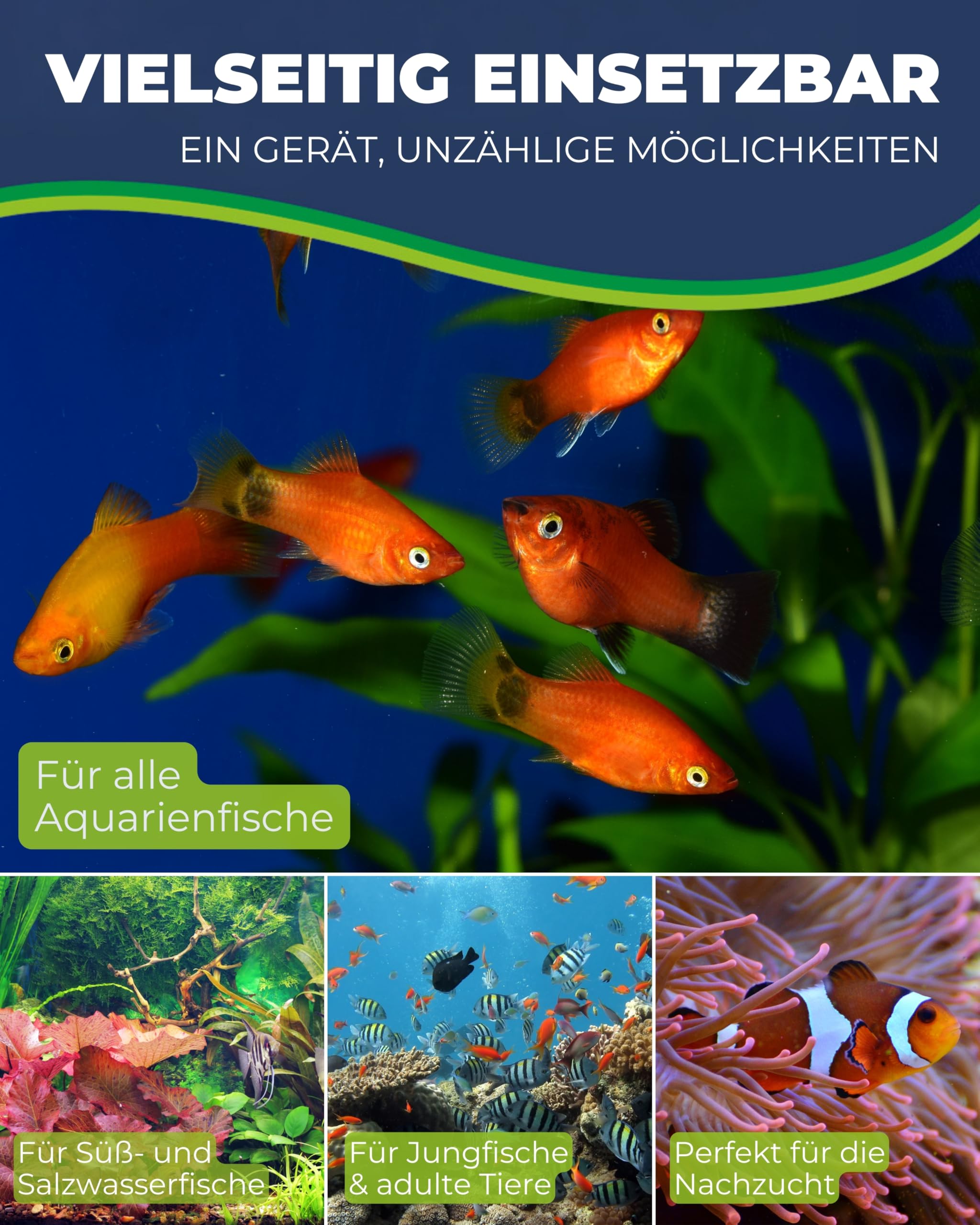 HOBBY Aquaristik Easy Feeder I programmierbarer Futterautomat für Aquarien I Fischfutter-Spender für bis zu 4 Fütterungen pro Tag I 100g / 300ml Kapazität I Aquarium-Futterspender