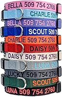 Vista 2 de GoTags Personalized Dog Collar, Custom Embroidered Pet ID Dog Collar with Pet Name and Phone Number, Adjustable with Quick Release Snap Buckle