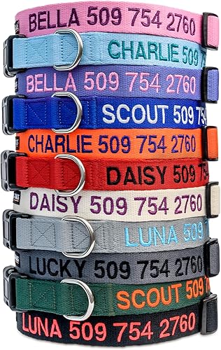Miniatura 2 de GoTags Personalized Dog Collar, Custom Embroidered Pet ID Dog Collar with Pet Name and Phone Number, Adjustable with Quick Release Snap Buckle