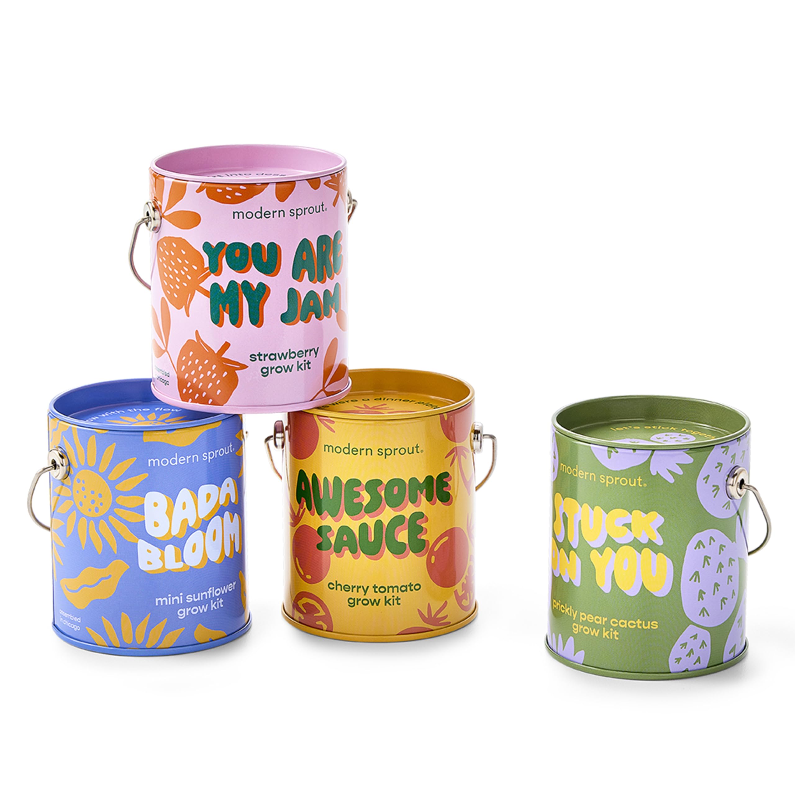 Amazon.com : Modern Sprout Complimentary Color Grow Kits (Pack of