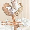 Product Photo 4
