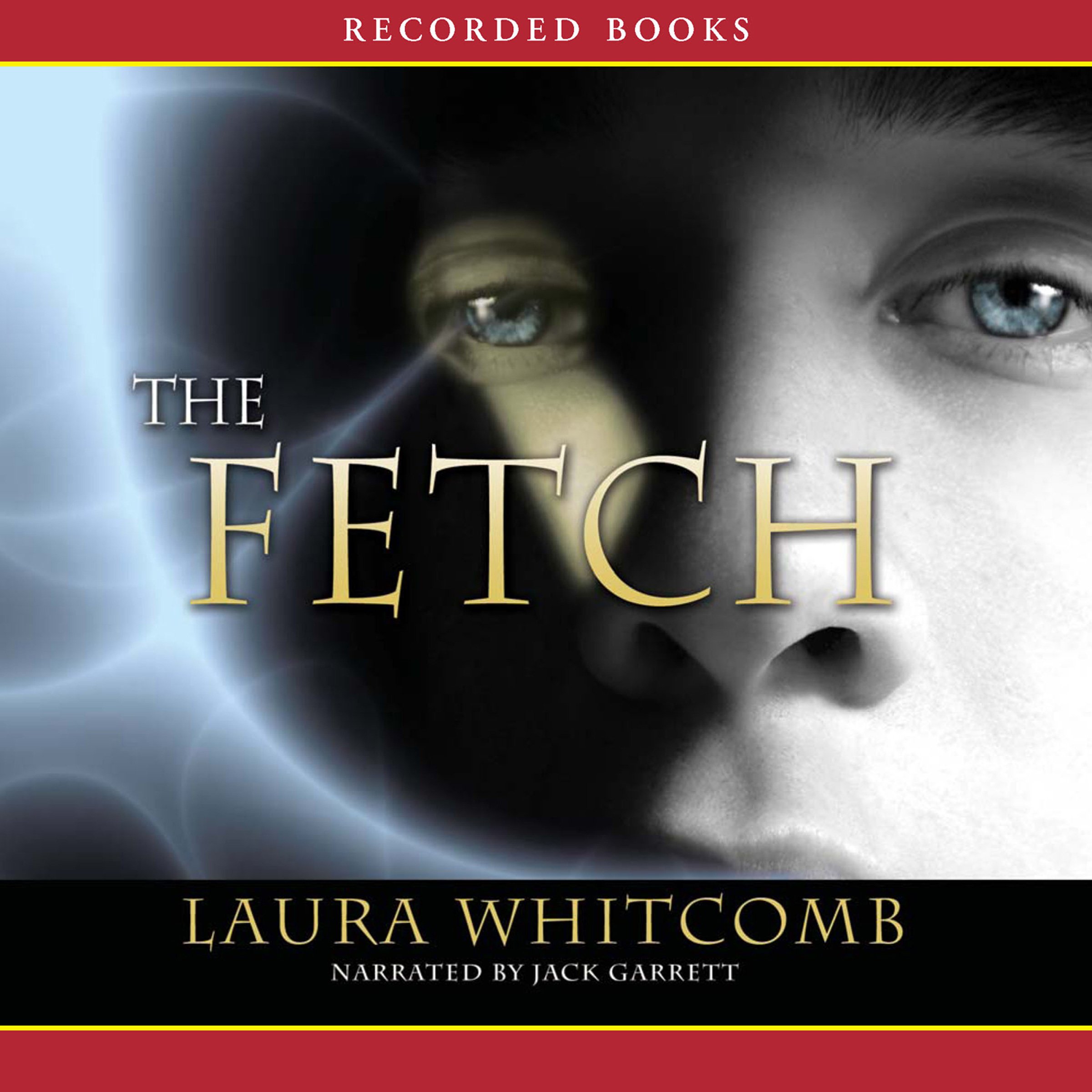 Cover art for The Fetch