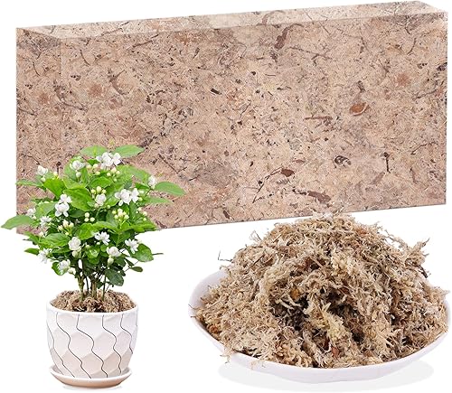 Sphagnum - Mezcla de musgo para macetas, plantas carnívoras naturales secas de musgo para orquídeas sarracenia, plantas de jardinería y reptiles