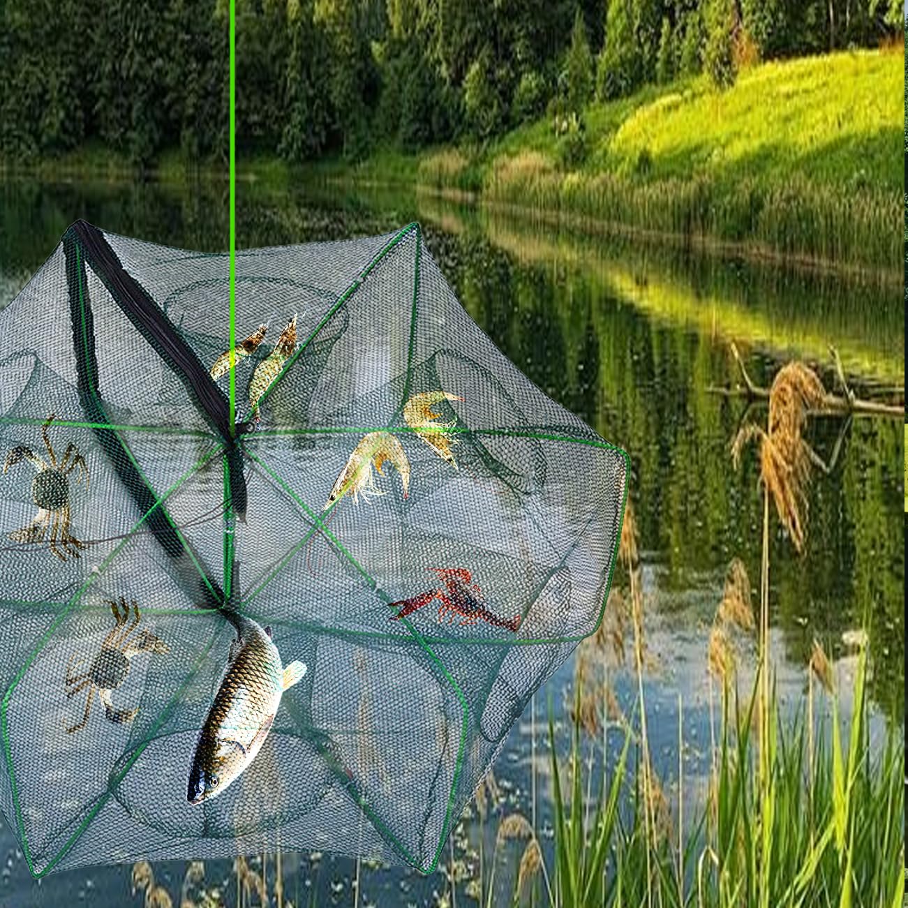 Reuse składana karmnik na ryby, mała karmnik, nylonowa przynęta, przenośna pułapka na ryby, składana pułapka na ryby, 6 otworów, do łowienia węgorzy, krabów, homarów, krewetek