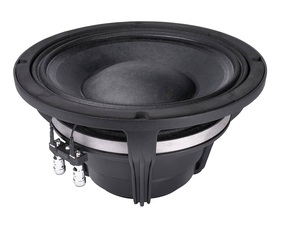 Amazon.co.jp: Faital Pro 10HP1020 10 Woofer by Faital Pro