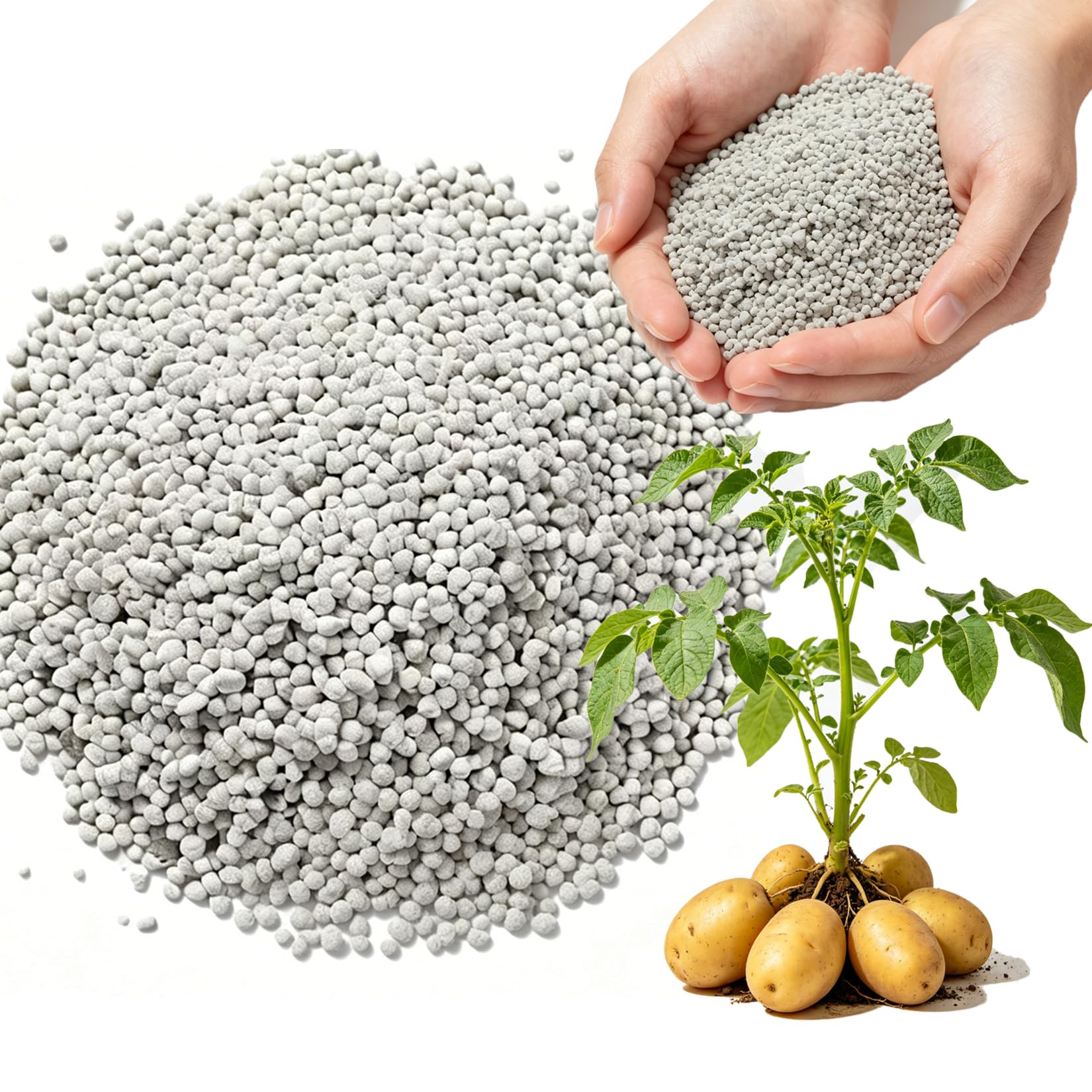 Photo 1 of INTOMYTH 20-20-20 Water-Soluble Fertilizer, 6 lb