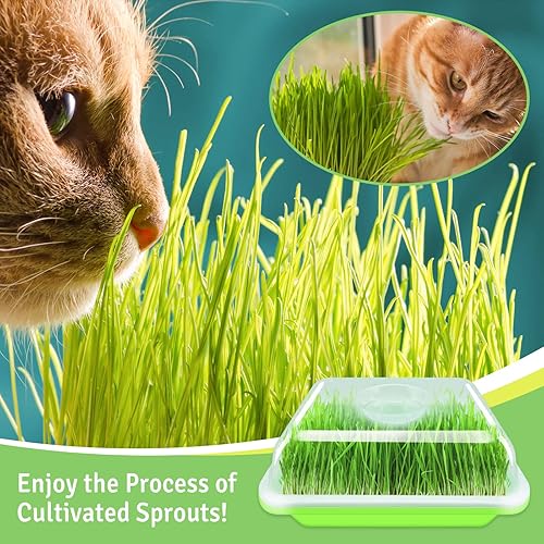 Miniatura 7 de Paquete de 2 bandejas de germinación de semillas verdes, bandeja de germinación de cultivo sin tierra, bandeja de guardería sin BPA con tapas de