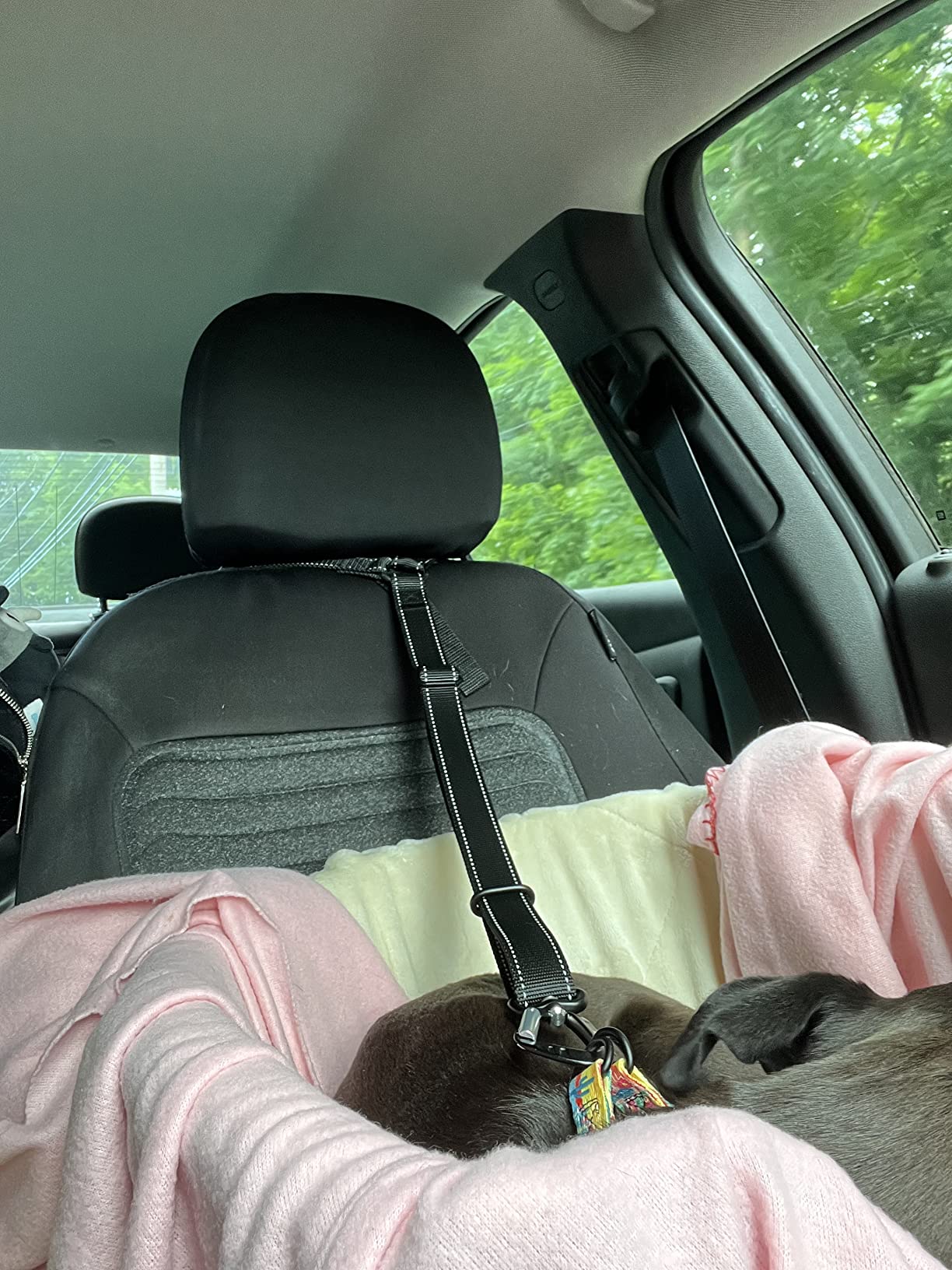 11/mo Finance Amazon Basics Pet Car Booster Bucket Seat Buy Now