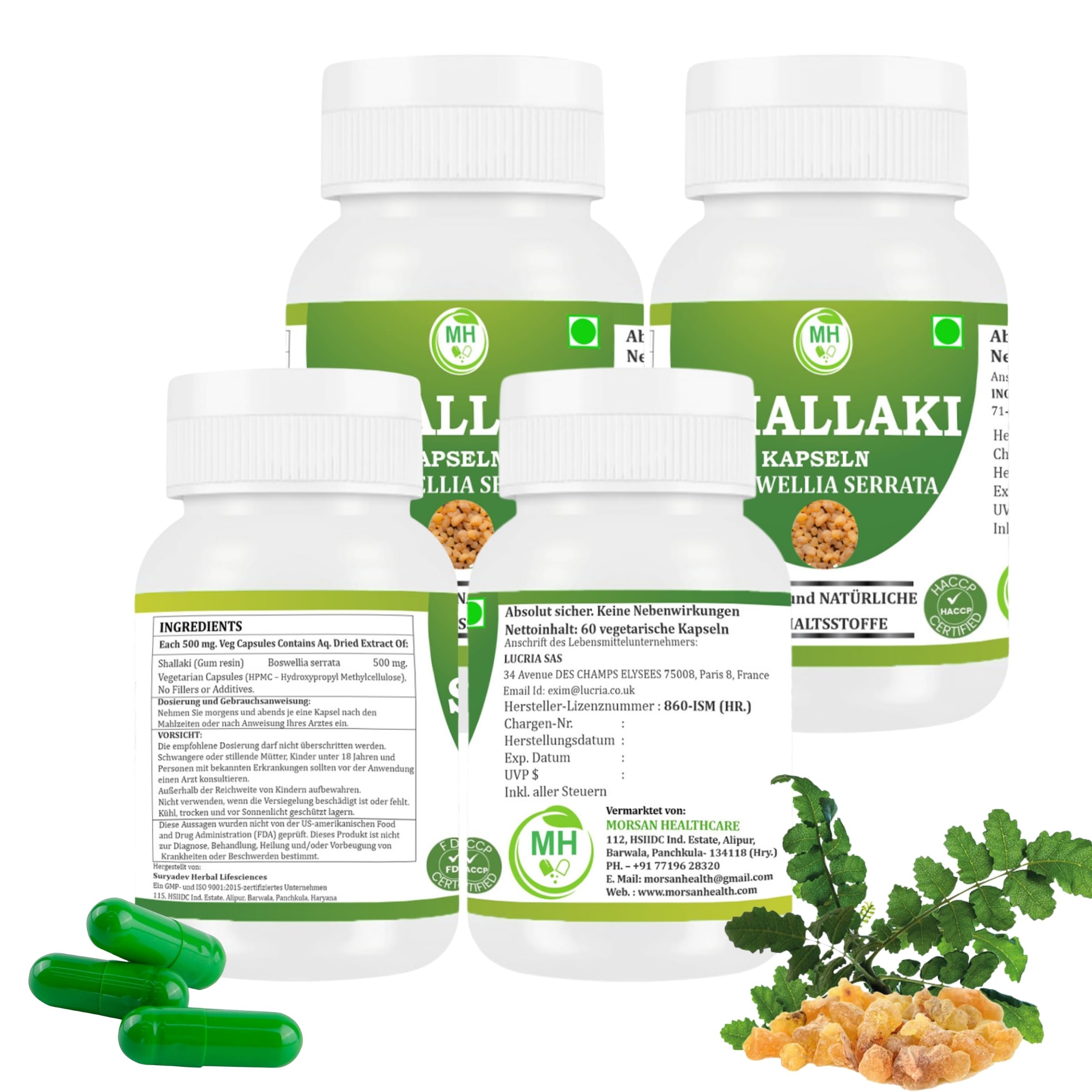 Morsan Shallaki-Kapseln 500 mg – 240 vegane Kapseln | Boswellia serrata | Pflanzliches Nahrungsergänzungsmittel | Vegan und nach ayurvedischer Tradition hergestellt | 4-er Pack