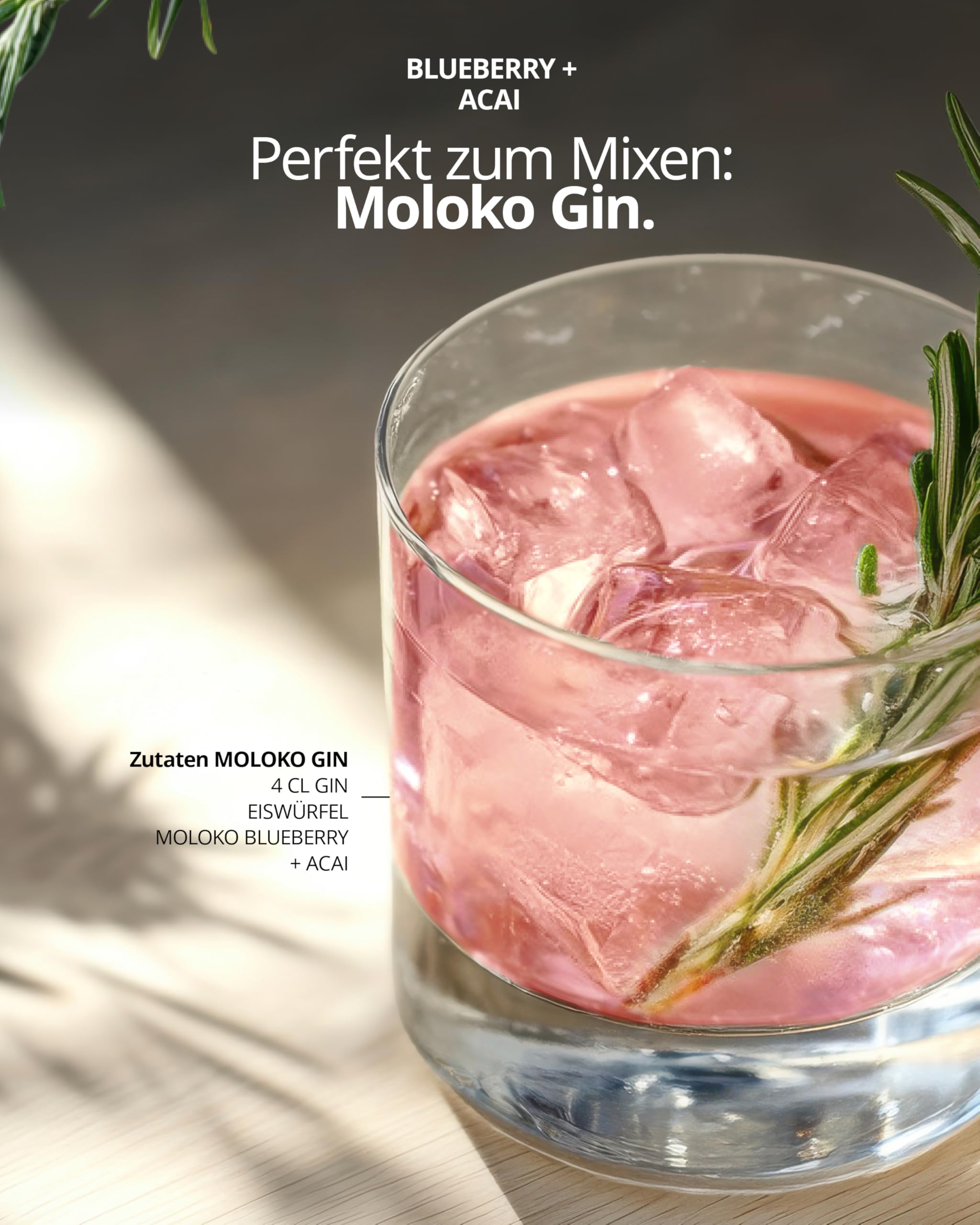 Moloko Blueberry + Acai Refresh Your Mind, 24er Pack, EINWEG (24 x 250 ml)