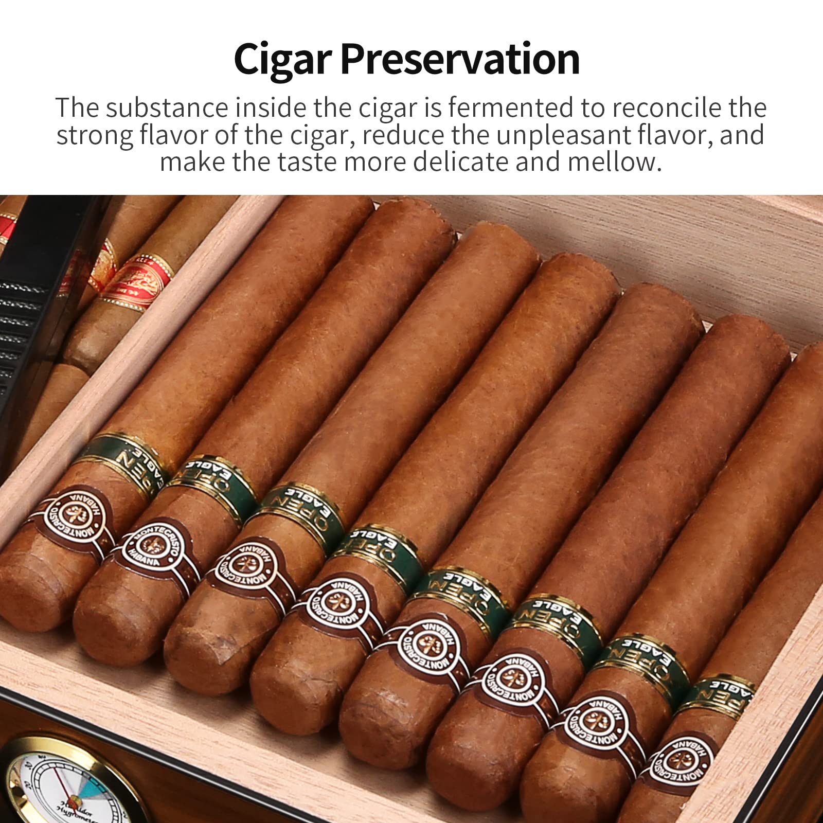 CIGARLOONG Zigarren Humidor aus Zedernholz mit Hygrometer und Luftbefeuchter für bis zu 20-25 Zigarren（M）