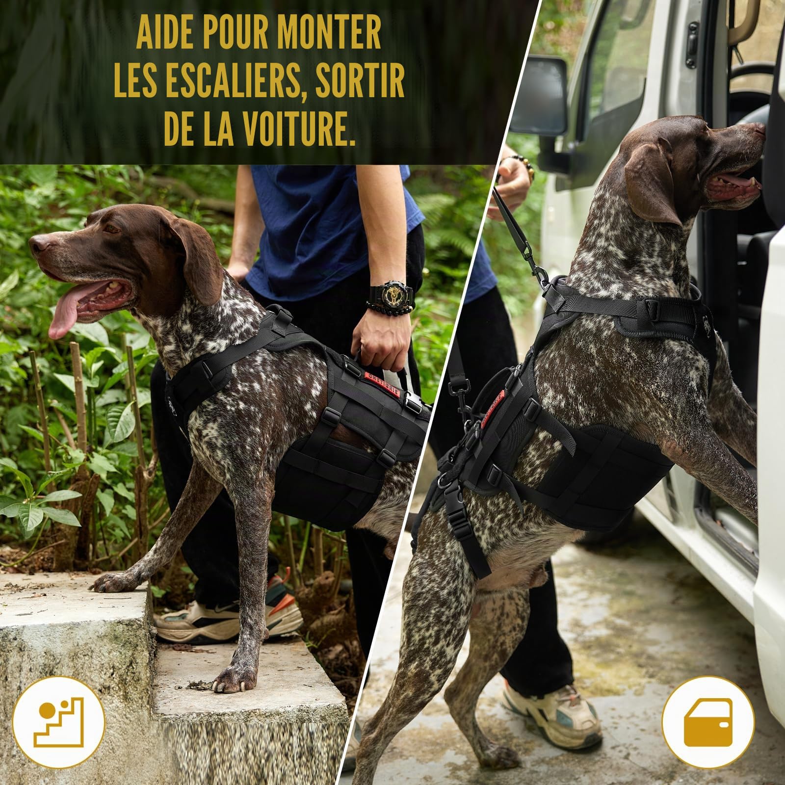 OneTigris Harnais de Levage pour Chien, Invictus Harnais pour Chien handicapé Sangle réglable, 3 poignées et Leggings arrière Amovibles - Noir S