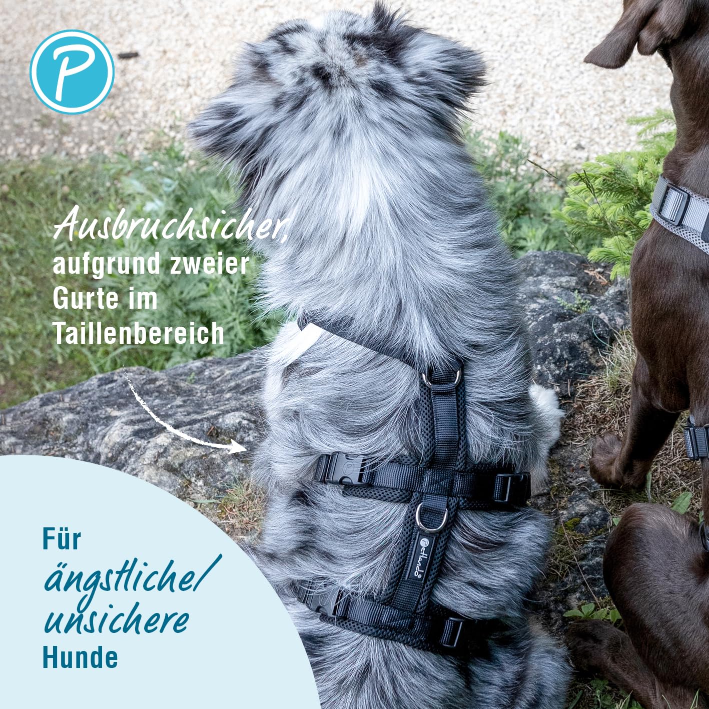 Petlando Sicherheitsgeschirr, ausbruchsicheres Hundegeschirr mit extra Bauchgurt, weich gepolstert mit Mesh, atmungsaktiv, robust, stufenlos verstellbar, Geschirr für große Hunde, Schwarz, L