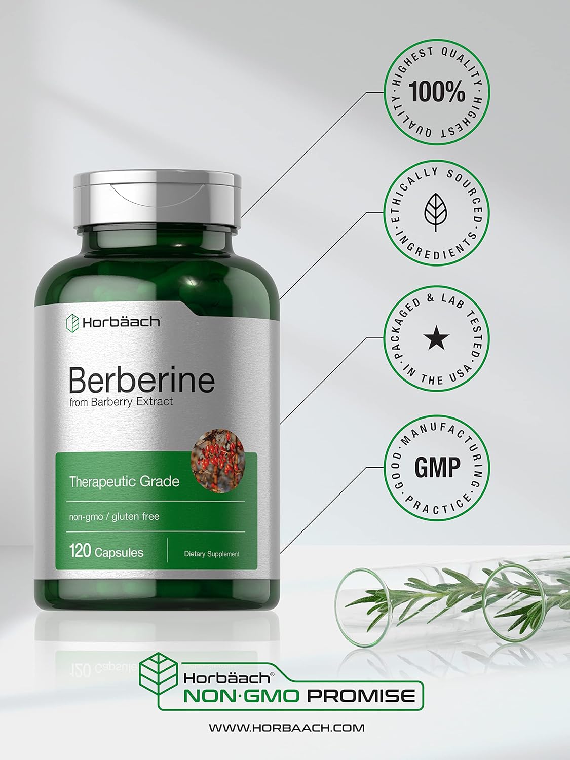 Buy Berberine Supplement 120 Capsules Berberine HCl from Barberry