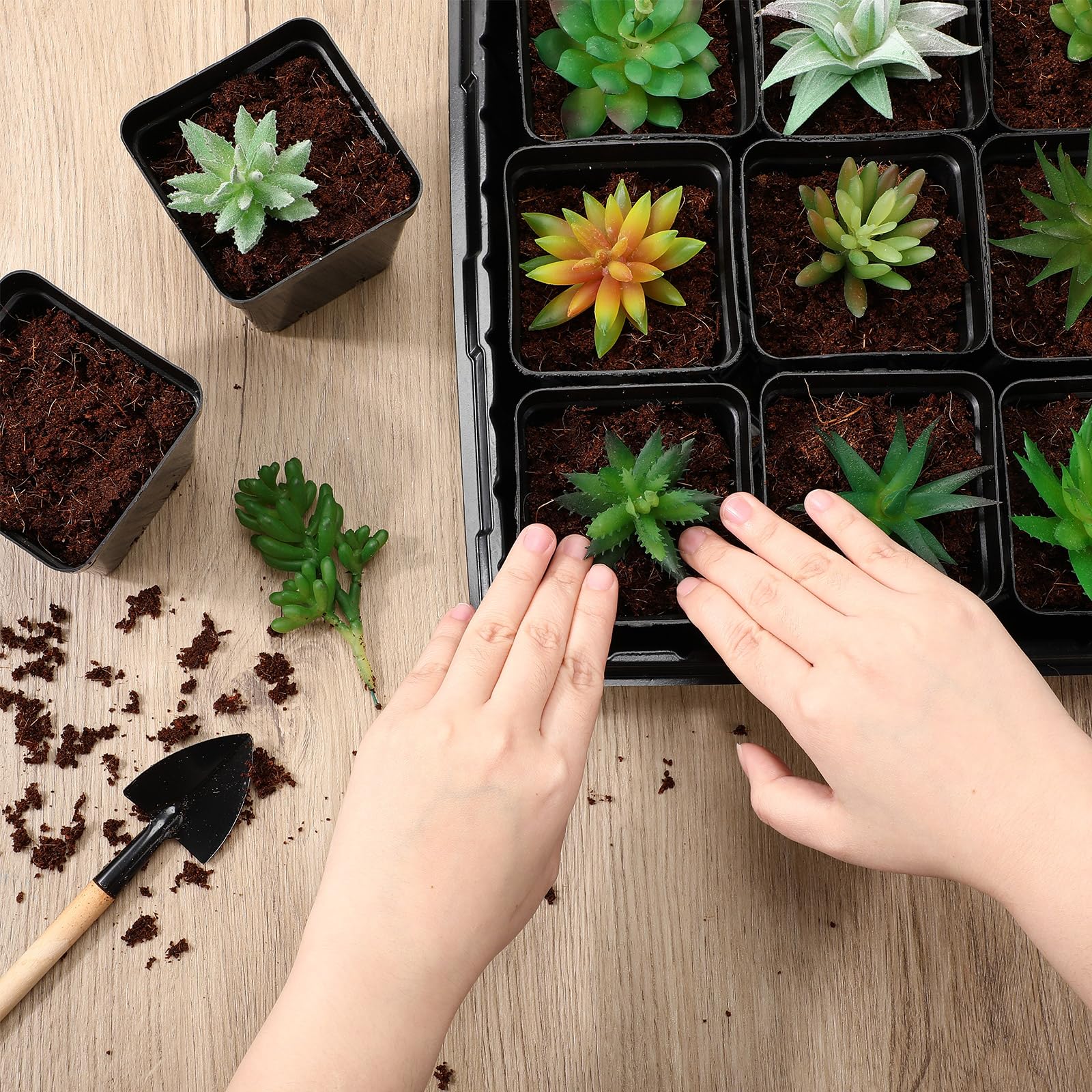 Barydat Set di 6 vassoi per sementi con 108 vasi quadrati per vivaio, 50 x 25 cm, vassoi per la coltivazione di piante per microgreens, grandi vassoi quadrati per piantine, giardinaggio indoor o