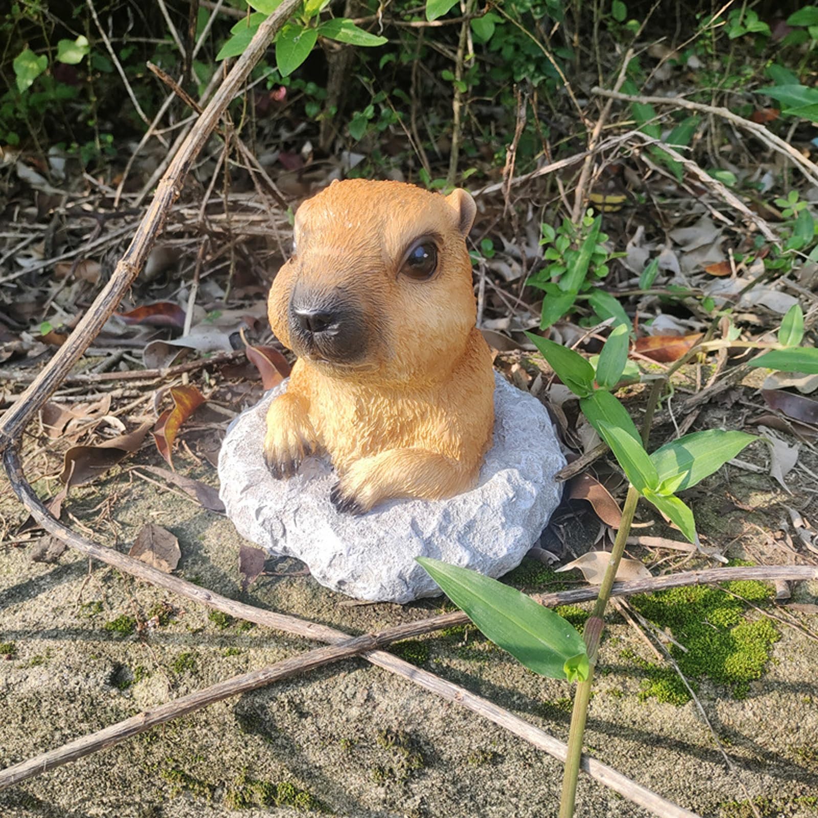 Amazon.com : Whbbbj Marmot Statue, Cute Marmot Decor, Resin Animal