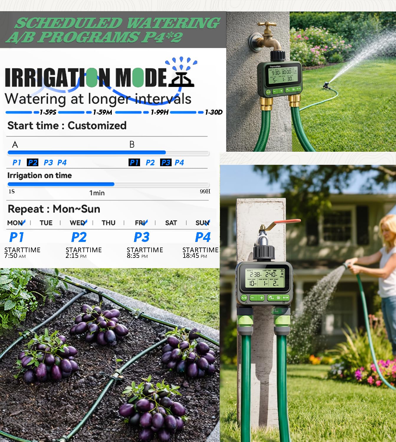 Timer intelligente per tubi da giardino, irrigazione digitale a 2 zone, impermeabile, sistema di irrigazione automatica per prati e cortili (doppio)