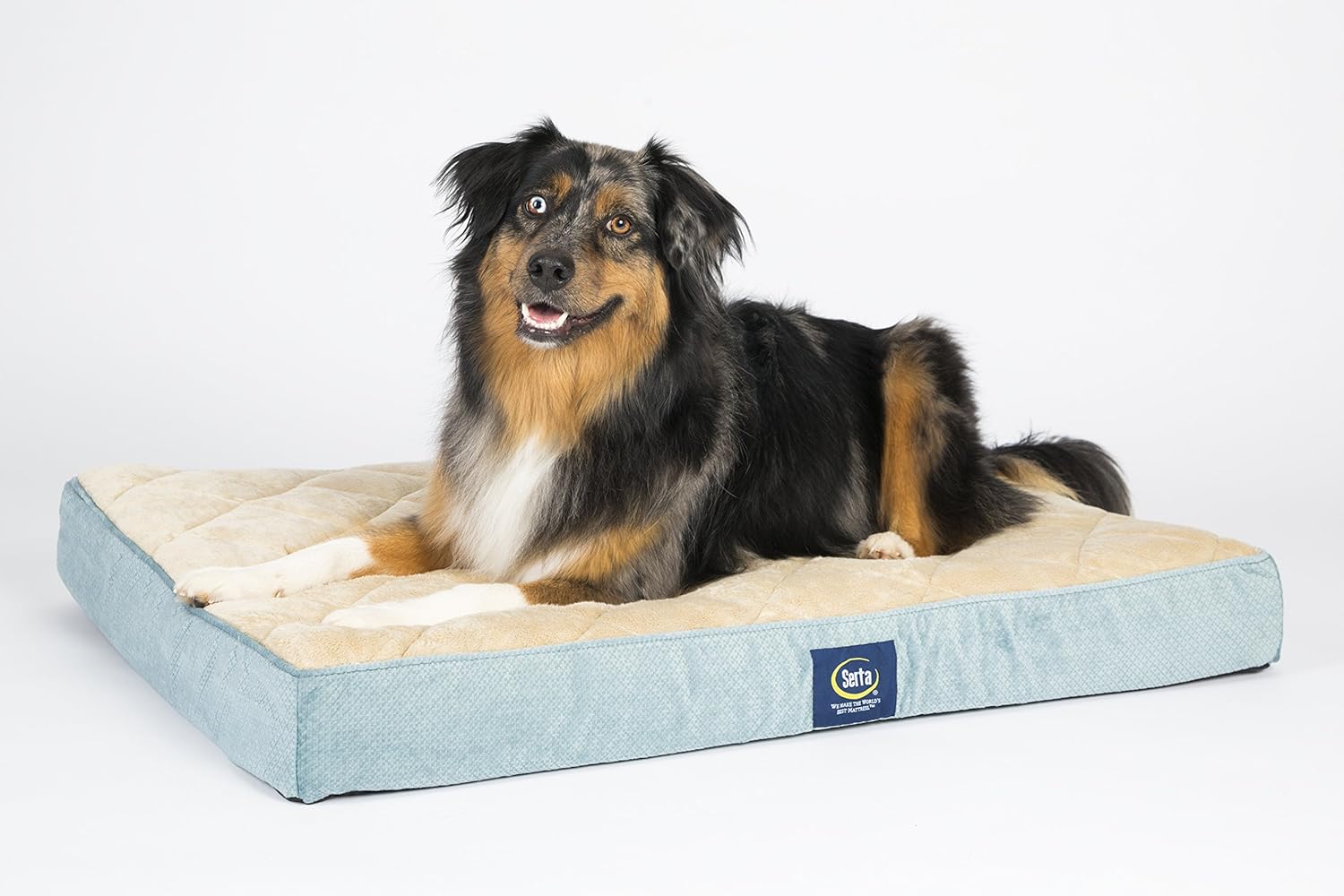 serta dog beds amazon